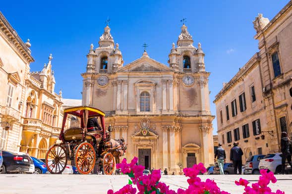 Biglietti per la cattedrale e il museo di San Paolo