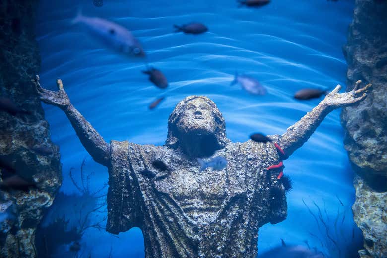 All'interno dell'Acquario Nazionale di Malta
