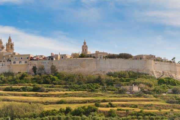 Escursione a Mdina e alle Scogliere di Dingli